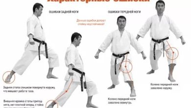Photo of Основные принципы стоек карате